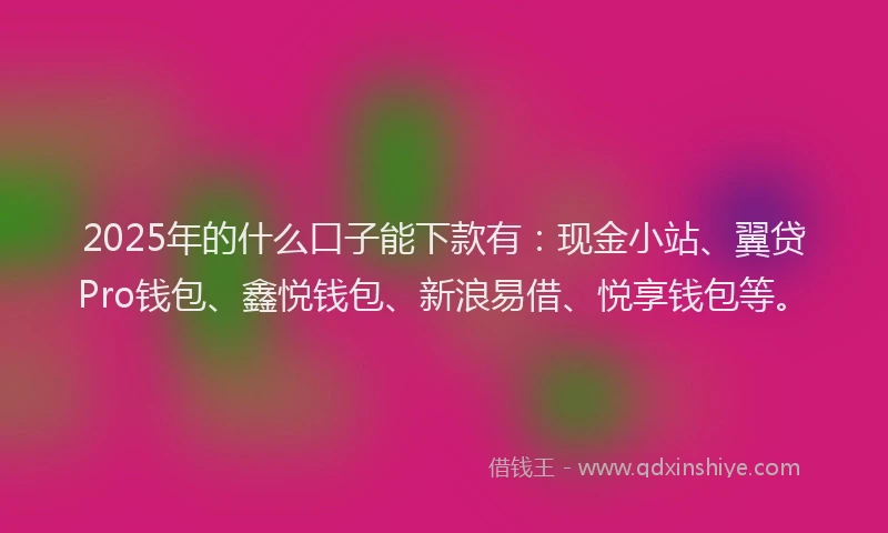 2025年的什么口子能下款有：现金小站、翼贷Pro钱包、鑫悦钱包、新浪易借、悦享钱包等。