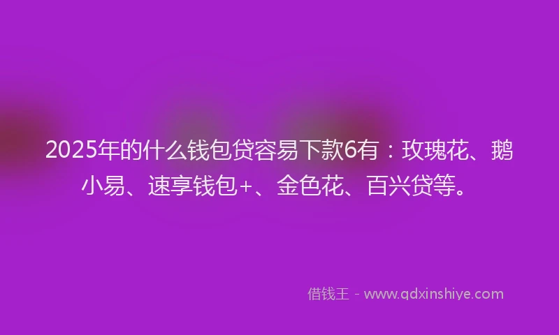2025年的什么钱包贷容易下款6有：玫瑰花、鹅小易、速享钱包+、金色花、百兴贷等。