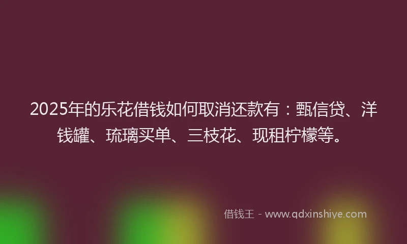 2025年的乐花借钱如何取消还款有：甄信贷、洋钱罐、琉璃买单、三枝花、现租柠檬等。