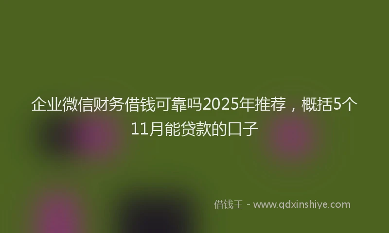 企业微信财务借钱可靠吗2025年推荐，概括5个11月能贷款的口子