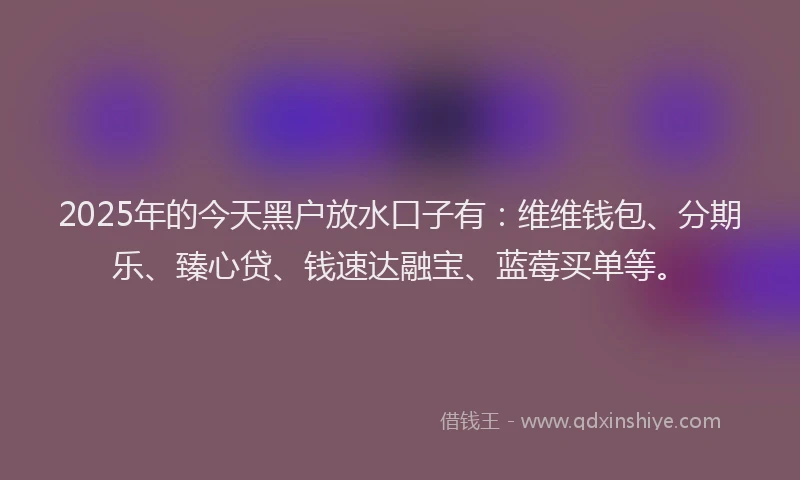 2025年的今天黑户放水口子有：维维钱包、分期乐、臻心贷、钱速达融宝、蓝莓买单等。