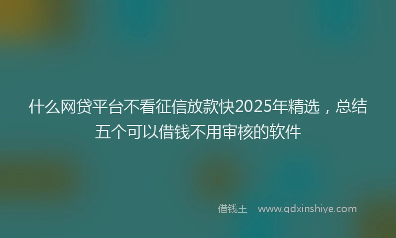 什么网贷平台不看征信放款快2025年精选，总结五个可以借钱不用审核的软件