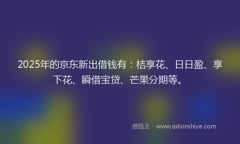 2025年的京东新出借钱有：桔享花、日日盈、享下花、瞬借宝贷、芒果分期等。