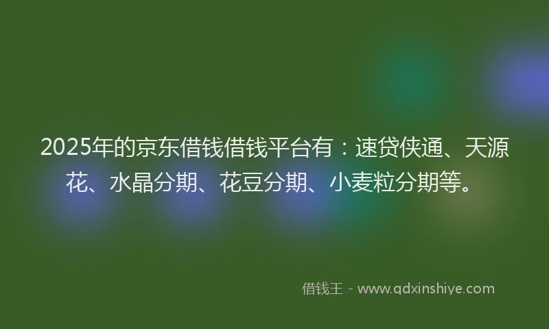 2025年的京东借钱借钱平台有：速贷侠通、天源花、水晶分期、花豆分期、小麦粒分期等。