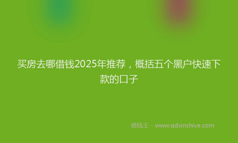 买房去哪借钱2025年推荐，概括五个黑户快速下款的口子