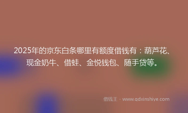 2025年的京东白条哪里有额度借钱有：葫芦花、现金奶牛、借蛙、金悦钱包、随手贷等。