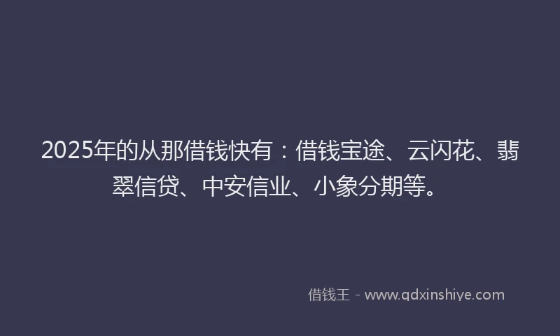 2025年的从那借钱快有：借钱宝途、云闪花、翡翠信贷、中安信业、小象分期等。