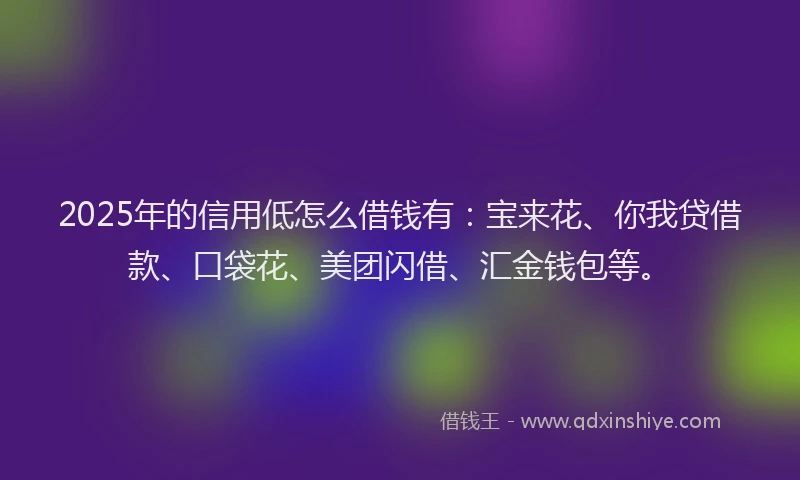 2025年的信用低怎么借钱有：宝来花、你我贷借款、口袋花、美团闪借、汇金钱包等。