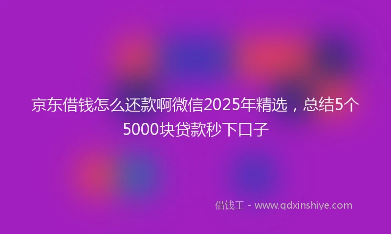 京东借钱怎么还款啊微信2025年精选，总结5个5000块贷款秒下口子