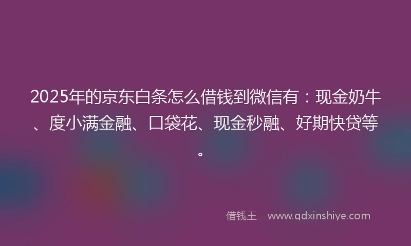 2025年的京东白条怎么借钱到微信有：现金奶牛、度小满金融、口袋花、现金秒融、好期快贷等。