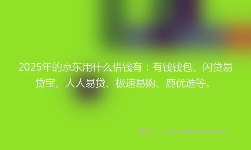2025年的京东用什么借钱有：有钱钱包、闪贷易贷宝、人人易贷、极速易购、鹿优选等。