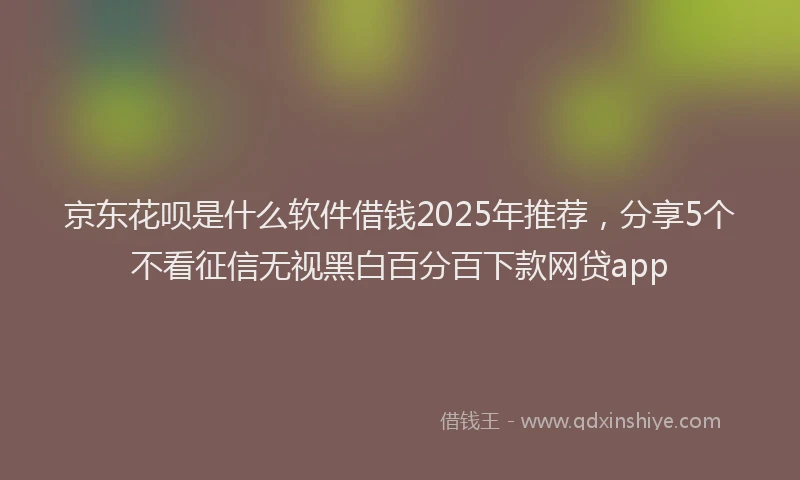 京东花呗是什么软件借钱2025年推荐，分享5个不看征信无视黑白百分百下款网贷app