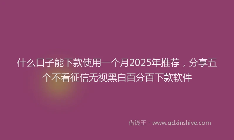 什么口子能下款使用一个月2025年推荐,分享五个不看征信无视黑白百分百下款软件
