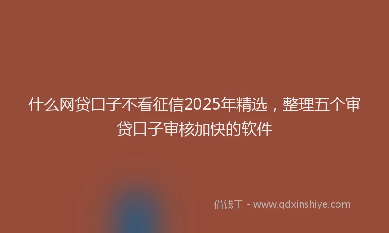 什么网贷口子不看征信2025年精选，整理五个审贷口子审核加快的软件