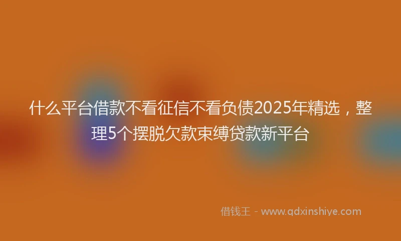 什么平台借款不看征信不看负债2025年精选，整理5个摆脱欠款束缚贷款新平台