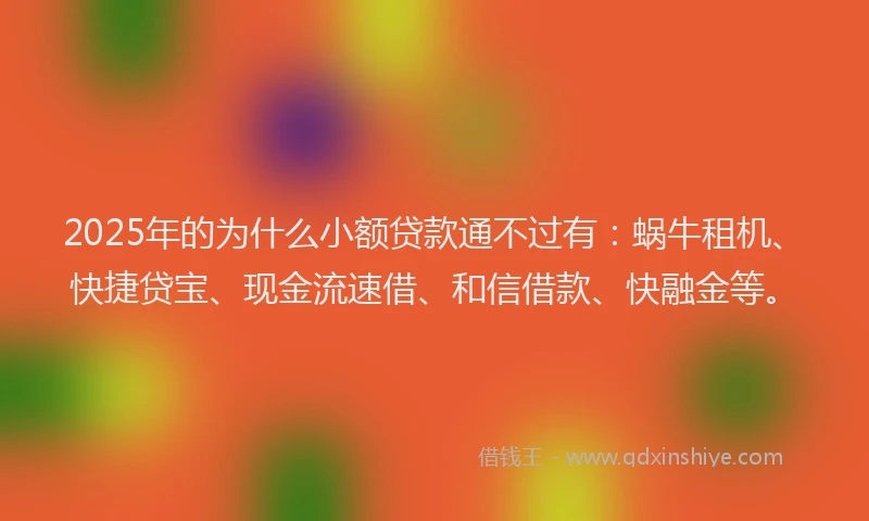 2025年的为什么小额贷款通不过有：蜗牛租机、快捷贷宝、现金流速借、和信借款、快融金等。