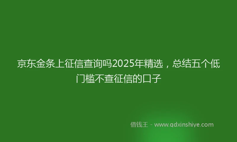 京东金条上征信查询吗2025年精选,总结五个低门槛不查征信的口子
