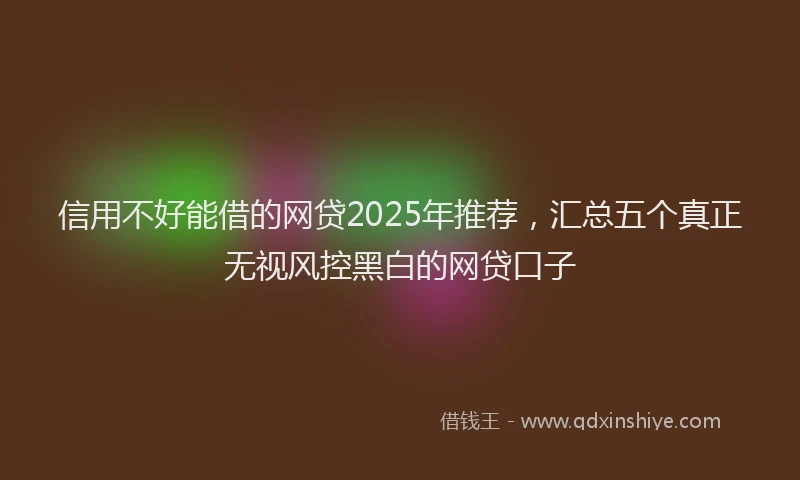 信用不好能借的网贷2025年推荐，汇总五个真正无视风控黑白的网贷口子