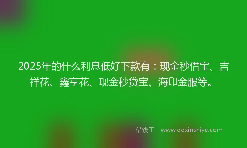 2025年的什么利息低好下款有：现金秒借宝、吉祥花、鑫享花、现金秒贷宝、海印金服等。