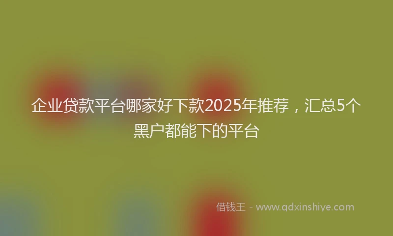 企业贷款平台哪家好下款2025年推荐,汇总5个黑户都能下的平台