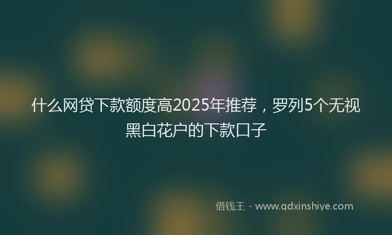 什么网贷下款额度高2025年推荐，罗列5个无视黑白花户的下款口子