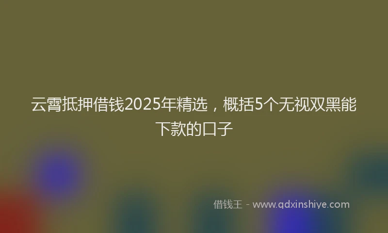 云霄抵押借钱2025年精选，概括5个无视双黑能下款的口子