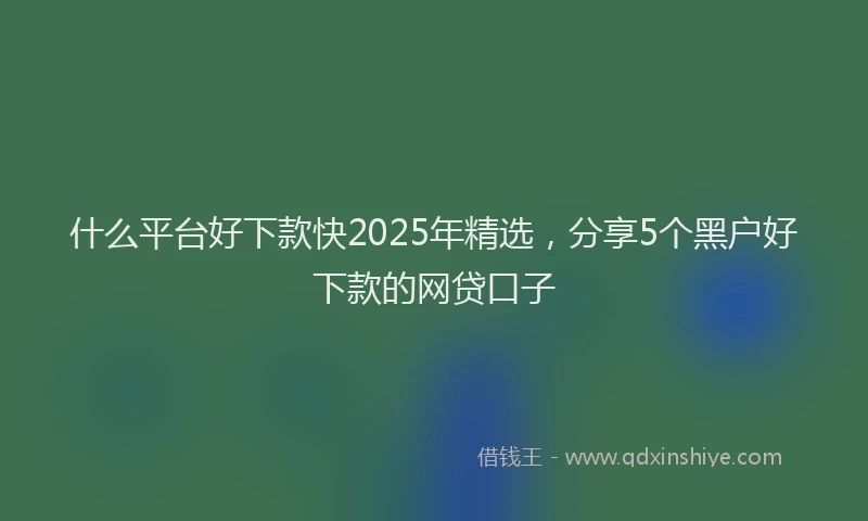 什么平台好下款快2025年精选,分享5个黑户好下款的网贷口子