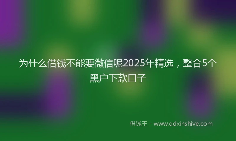 为什么借钱不能要微信呢2025年精选，整合5个黑户下款口子