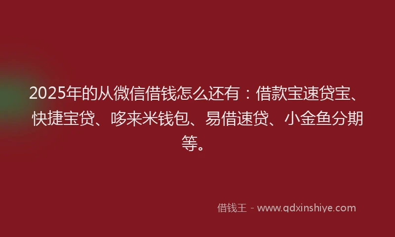 2025年的从微信借钱怎么还有：借款宝速贷宝、快捷宝贷、哆来米钱包、易借速贷、小金鱼分期等。