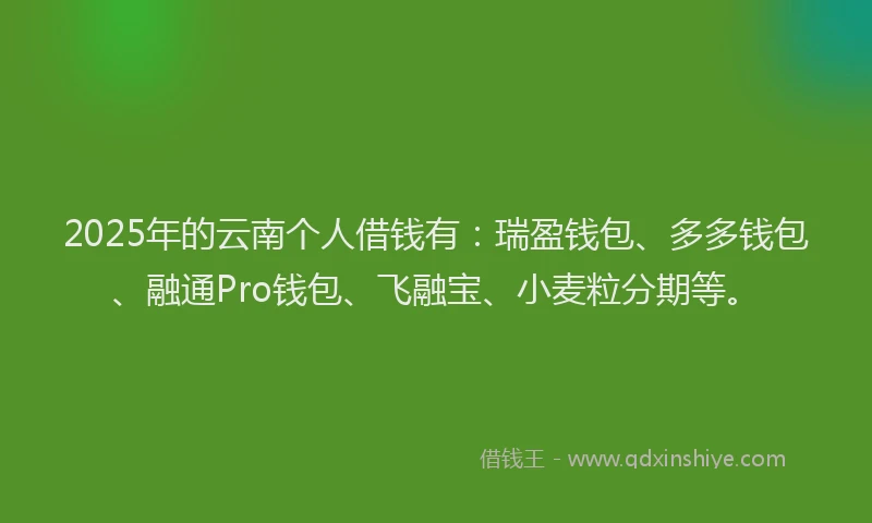 2025年的云南个人借钱有：瑞盈钱包、多多钱包、融通Pro钱包、飞融宝、小麦粒分期等。