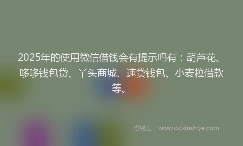 2025年的使用微信借钱会有提示吗有：葫芦花、哆哆钱包贷、丫头商城、速贷钱包、小麦粒借款等。