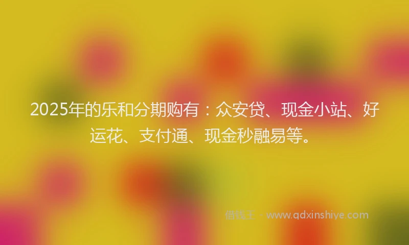 2025年的乐和分期购有：众安贷、现金小站、好运花、支付通、现金秒融易等。