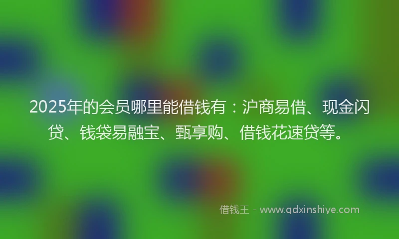 2025年的会员哪里能借钱有：沪商易借、现金闪贷、钱袋易融宝、甄享购、借钱花速贷等。