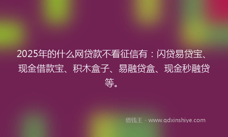 2025年的什么网贷款不看征信有：闪贷易贷宝、现金借款宝、积木盒子、易融贷盒、现金秒融贷等。