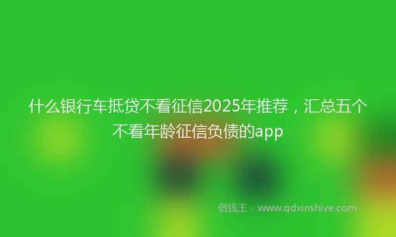什么银行车抵贷不看征信2025年推荐，汇总五个不看年龄征信负债的app