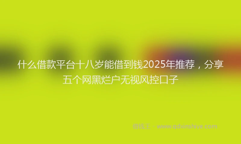 什么借款平台十八岁能借到钱2025年推荐，分享五个网黑烂户无视风控口子