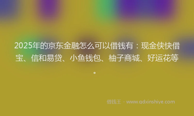2025年的京东金融怎么可以借钱有：现金侠快借宝、信和易贷、小鱼钱包、柚子商城、好运花等。