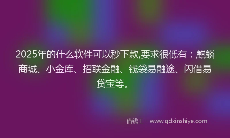 2025年的什么软件可以秒下款,要求很低有：麒麟商城、小金库、招联金融、钱袋易融途、闪借易贷宝等。