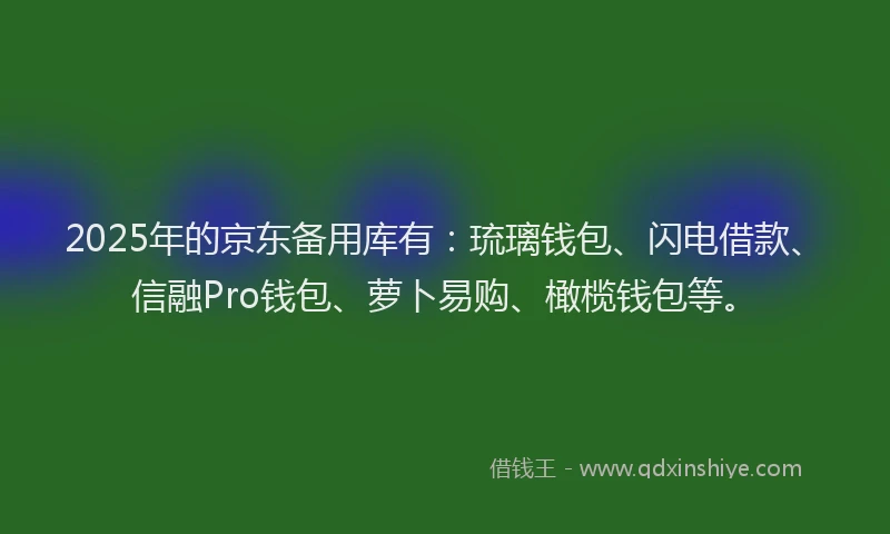 2025年的京东备用库有：琉璃钱包、闪电借款、信融Pro钱包、萝卜易购、橄榄钱包等。