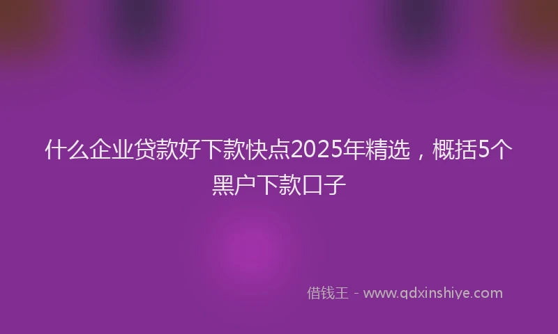 什么企业贷款好下款快点2025年精选，概括5个黑户下款口子
