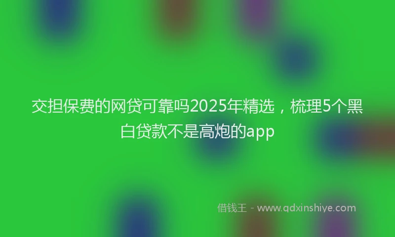 交担保费的网贷可靠吗2025年精选，梳理5个黑白贷款不是高炮的app