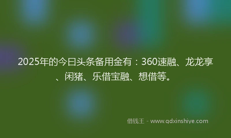 2025年的今曰头条备用金有：360速融、龙龙享、闲猪、乐借宝融、想借等。