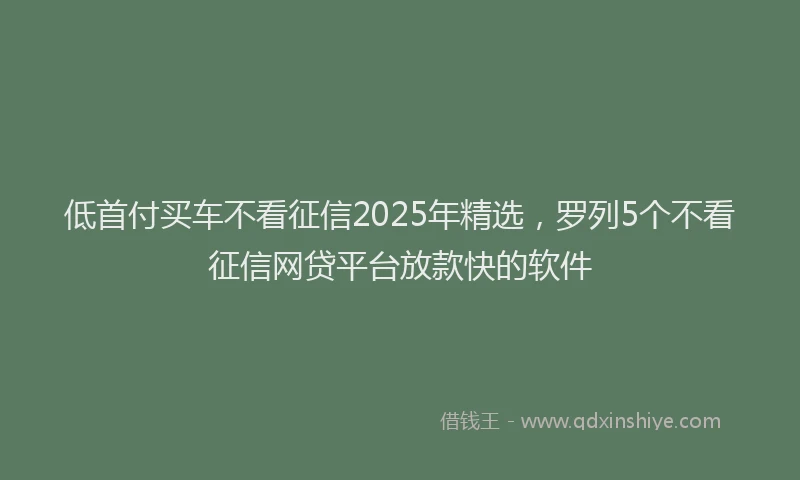 低首付买车不看征信2025年精选，罗列5个不看征信网贷平台放款快的软件