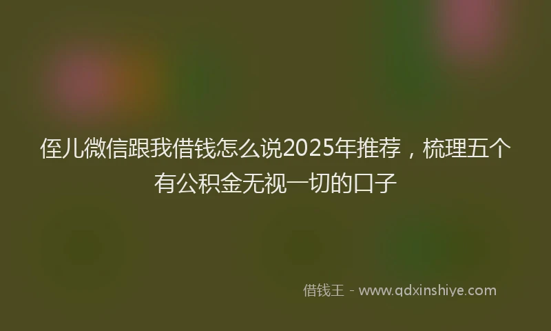 侄儿微信跟我借钱怎么说2025年推荐，梳理五个有公积金无视一切的口子