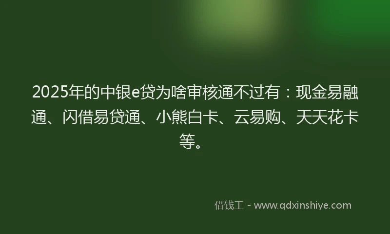 2025年的中银e贷为啥审核通不过有：现金易融通、闪借易贷通、小熊白卡、云易购、天天花卡等。