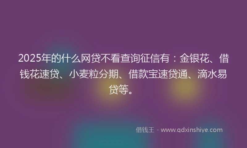 2025年的什么网贷不看查询征信有：金银花、借钱花速贷、小麦粒分期、借款宝速贷通、滴水易贷等。