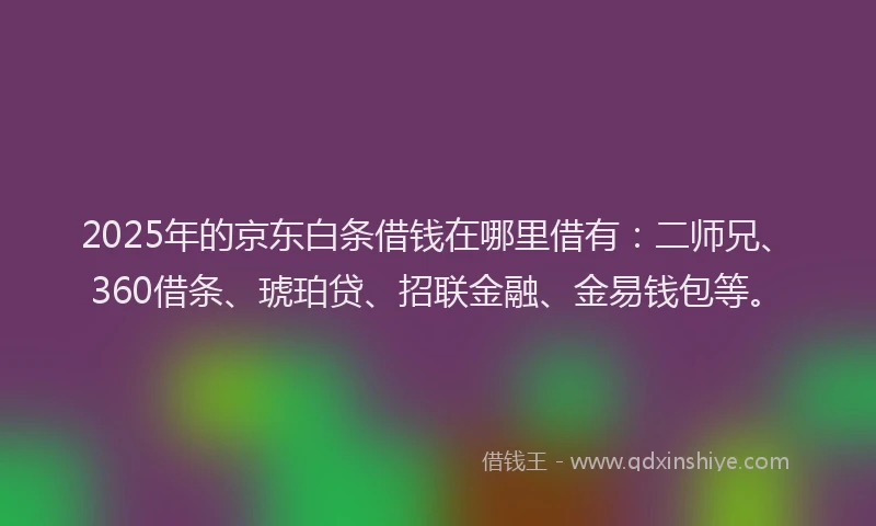 2025年的京东白条借钱在哪里借有：二师兄、360借条、琥珀贷、招联金融、金易钱包等。