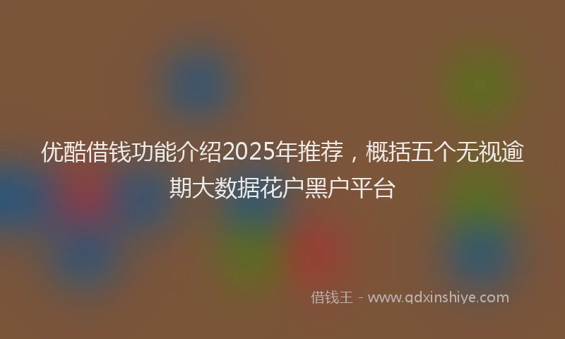 优酷借钱功能介绍2025年推荐，概括五个无视逾期大数据花户黑户平台