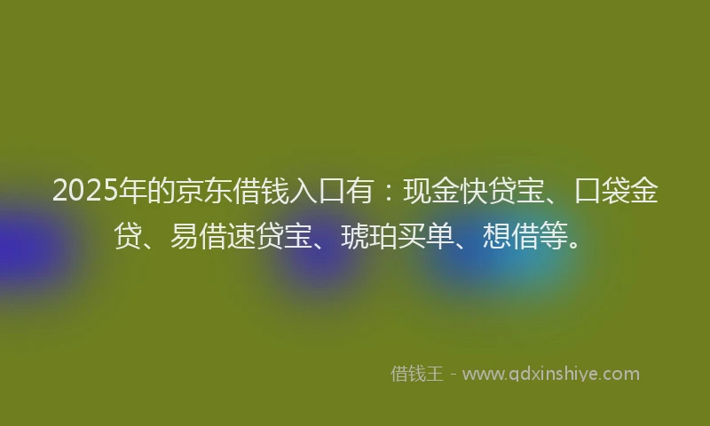 2025年的京东借钱入口有：现金快贷宝、口袋金贷、易借速贷宝、琥珀买单、想借等。