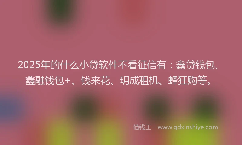2025年的什么小贷软件不看征信有：鑫贷钱包、鑫融钱包+、钱来花、玥成租机、蜂狂购等。
